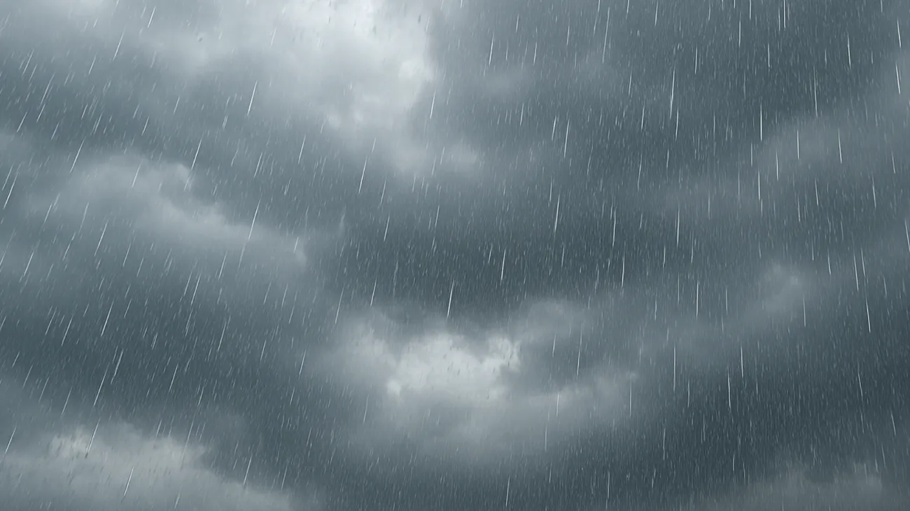 Wetter"